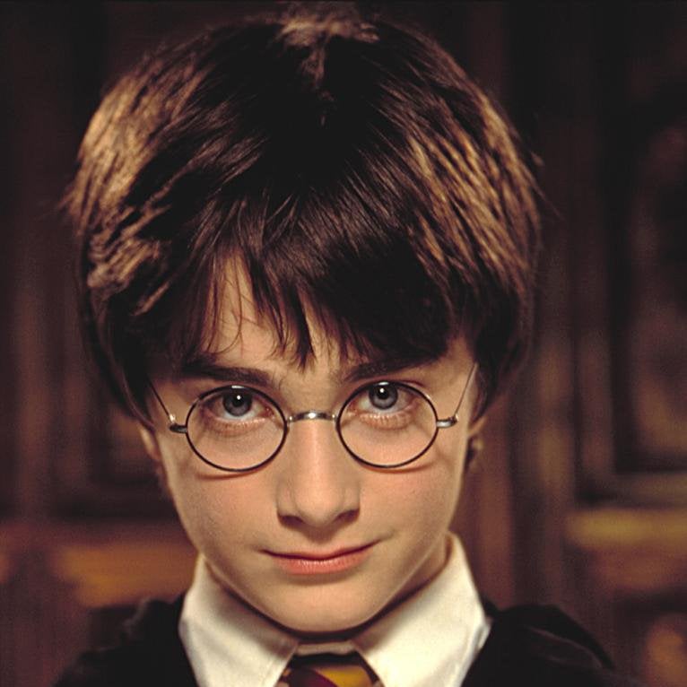 Why is Harry Potter The Chosen One? - Exploring Symbolism In JK Rowling's  World